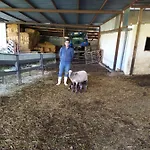 شاليه Cortijo La Laguna *