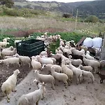 Cortijo La Laguna * روندا