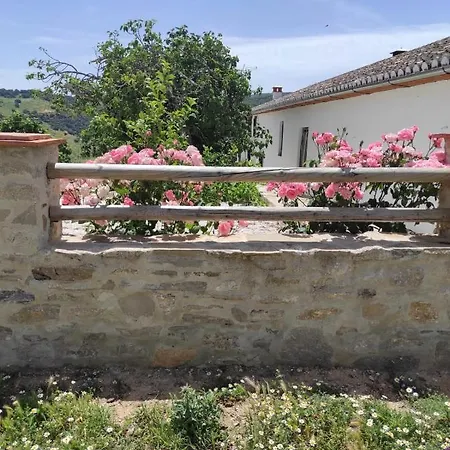 Cortijo La Laguna روندا