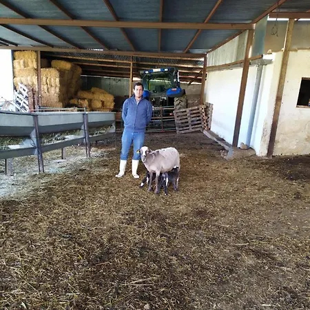 شاليه Cortijo La Laguna *