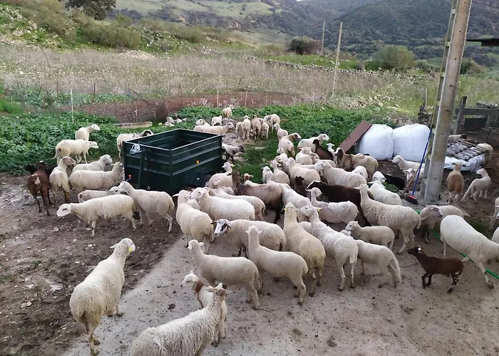 Cortijo La Laguna * Ронда