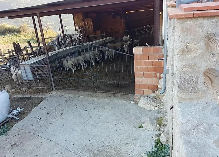 Cortijo La Laguna * Ронда