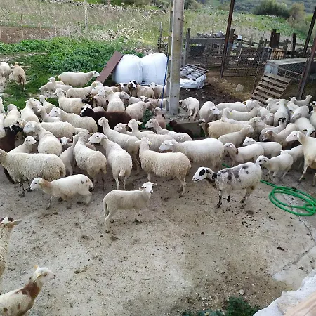 Cortijo La Laguna ロンダ
