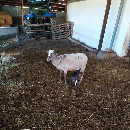 Cortijo La Laguna Alpehytte *