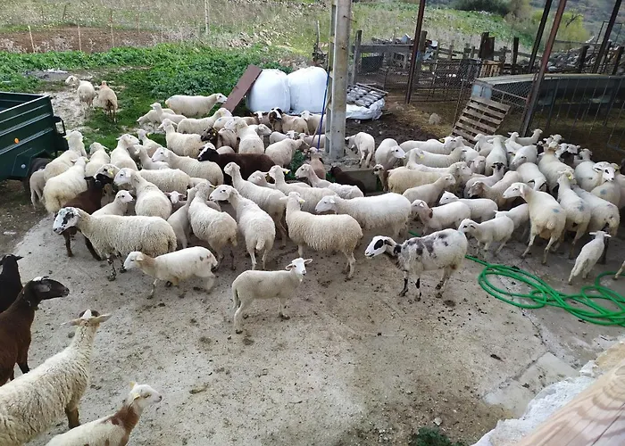 Cortijo La Laguna 론다