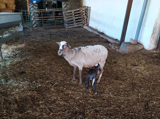 Cortijo La Laguna Chalet *