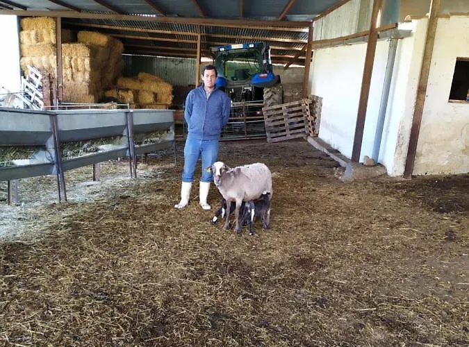 Chalet Cortijo La Laguna *