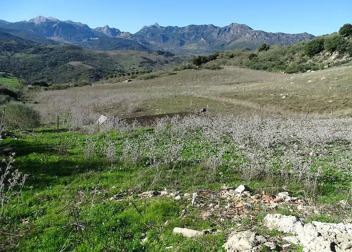 Cortijo La Laguna * 론다